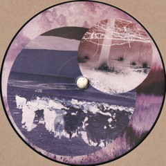 Tonchius - Waiting for Tee EP (CON006)