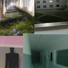www.peace.com. + [5 others] [megalab] #JerseyClub