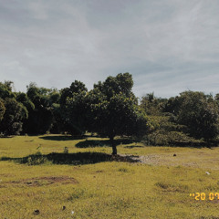 Singing Spinel’s “Drift Away” in the Garden.m4a