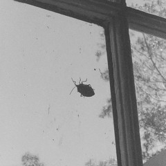 NOBLES - Selwyn Sessions [2023 - 12 - 09] {HARDGROOVE}