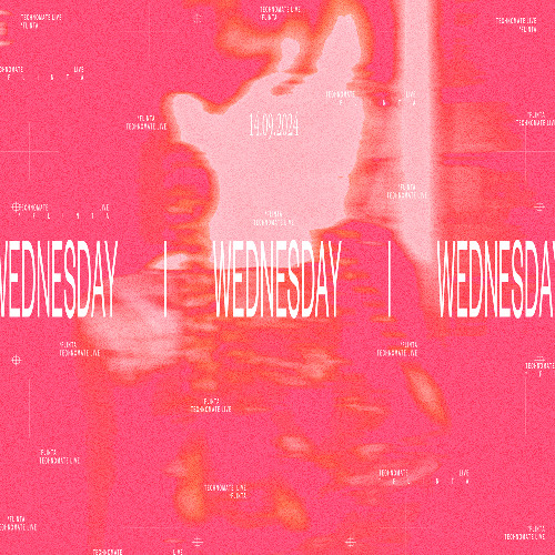 tm8.live •󠁏 14.09.24 •󠁏 Wednesday
