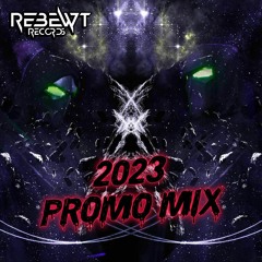 2023 Promo Mix