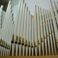 pipe organ - first lesson / session - w/ Saverio Martinelli