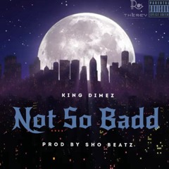 Not So Badd (prod by ShoBeatz)