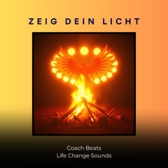 ZEIG DEIN LICHT