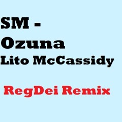 SM - Ozuna  Lito Mc Cassidy ( RegDei Remix )