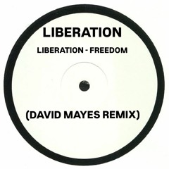 Liberation - Freedom (David Mayes Remix)