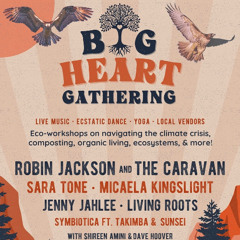 Sunsei Live @ Big Heart Gathering