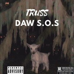 TRUSS (PROD. VESTIS)