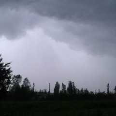 пустырь (greyrock, ringofprotection)