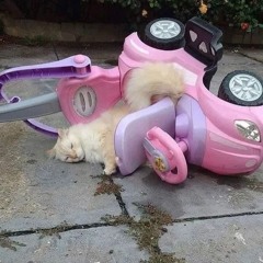 3:56AM - kenakanx (Prod. JXYLN)