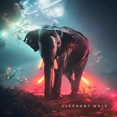 Elephant Walk | Tech House Set