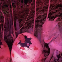 LOST IN DUST LANDS MIX