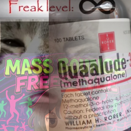 mass bounce freestyle