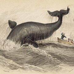 The Last Leviathan.mp3