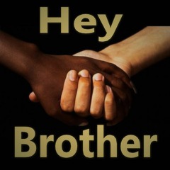 Hey Brother (cover)