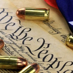 Michigan Senate Passes 11 RED FLAG Gun Safety Bills To Restrict Second Amendment Rights