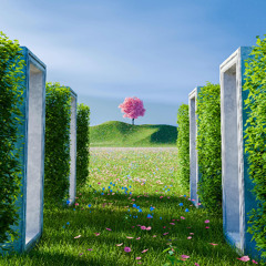 Spring Step