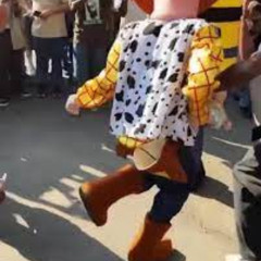 WoodyDointheWooWalkTypeshi