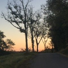 CHRI$TIAN-nights I spent alone (wraithontheporch)