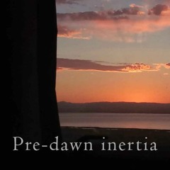 Pre-dawn inertia (naviarhaiku534)
