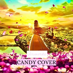 Mindaryn - Fireworks Cover by CANDY.F