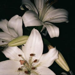 melancholy