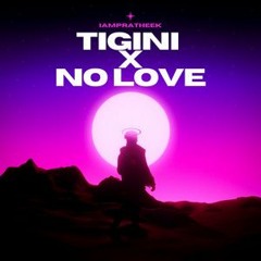 NO LOVE X TIGINI [Slowed+Reverb] - Perfectly Remixed
