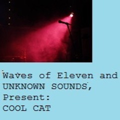 Cool Cat by Waves of Eleven and UNKNOWN SOUNDS
