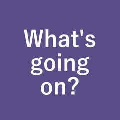 The Find | What's going on?