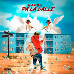 Amiri (feat. Los Bichotess, Ignaciio nr & Saico)