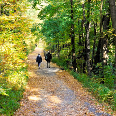 "Promenade musicale", par Chartrand Saint-Louis; Mix., rév. et sonorisation par Albert [lien vidéo]