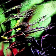 01 Schranz Techno mix