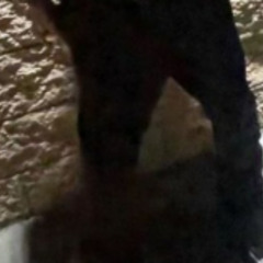 BROKE ASL WIT SOME TIGHT ASS JEANS