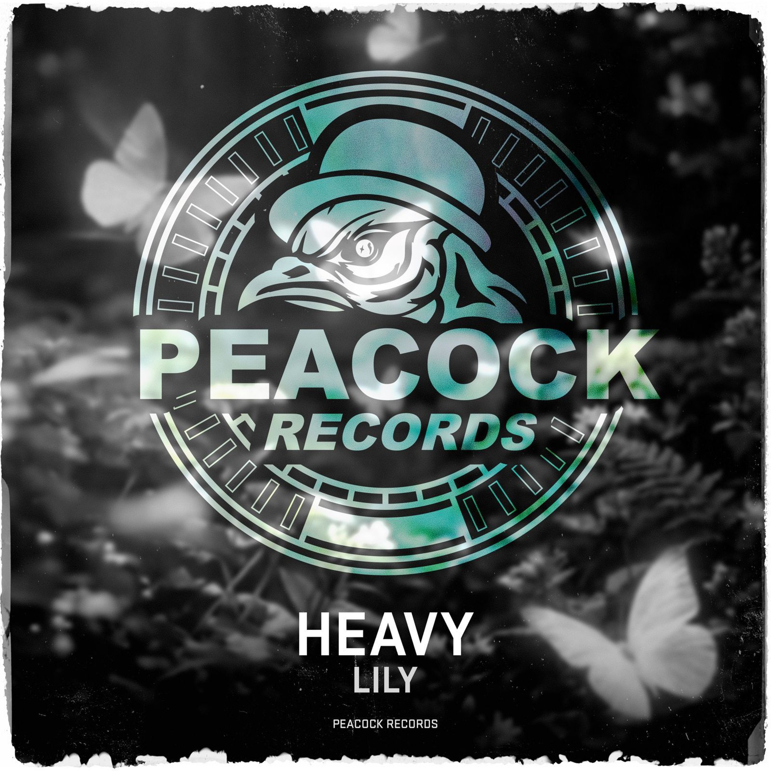 Lily - Heavy episode artwork