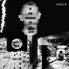ØRGIE - What Is The Meaning Of My Life?