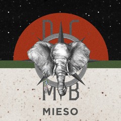 MIESO || 4 YEARS DCMB