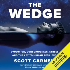 The Wedge by Scott Carney, Narrated by  Scott Carney