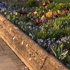 screaming into pillows_1.m4a