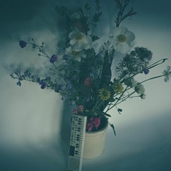 Gathered Wildflowers with Casio Volume One