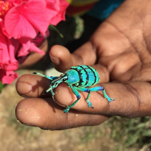 HK_Calm-&-Steady_tracks_162