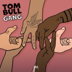 Tom Bull - Gang (Vip Speed Garage Mix)