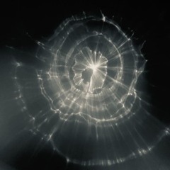 transient zones w/ Dj wiggles | Shella Radio 08.06.2025