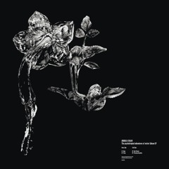 Andrea Ferlin - The psychotropical adventures of mister Gibson EP // HAZEB003