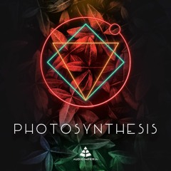 Audio Imperia - Photosynthesis: "Above" by James Everingham