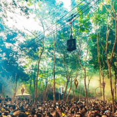 ZizoooJr- Jungle Grooves (Tulum Special)