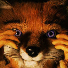 “I know what it’s like to feel different” - Fantastic Mr Fox x welcome and goodbye