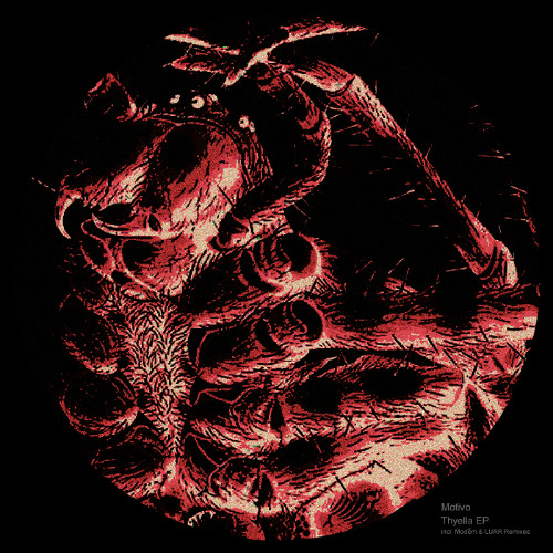 Motivo - Slip Up [Xelima Records]