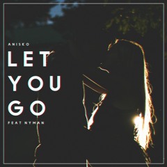 Anisko Ft. Nyman - Let You Go