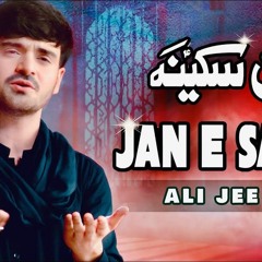 Jan E Sakina (Urdu\Persian) | Ali Jee | 2022 | 1444